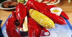 The Nordic Lobsterfeast